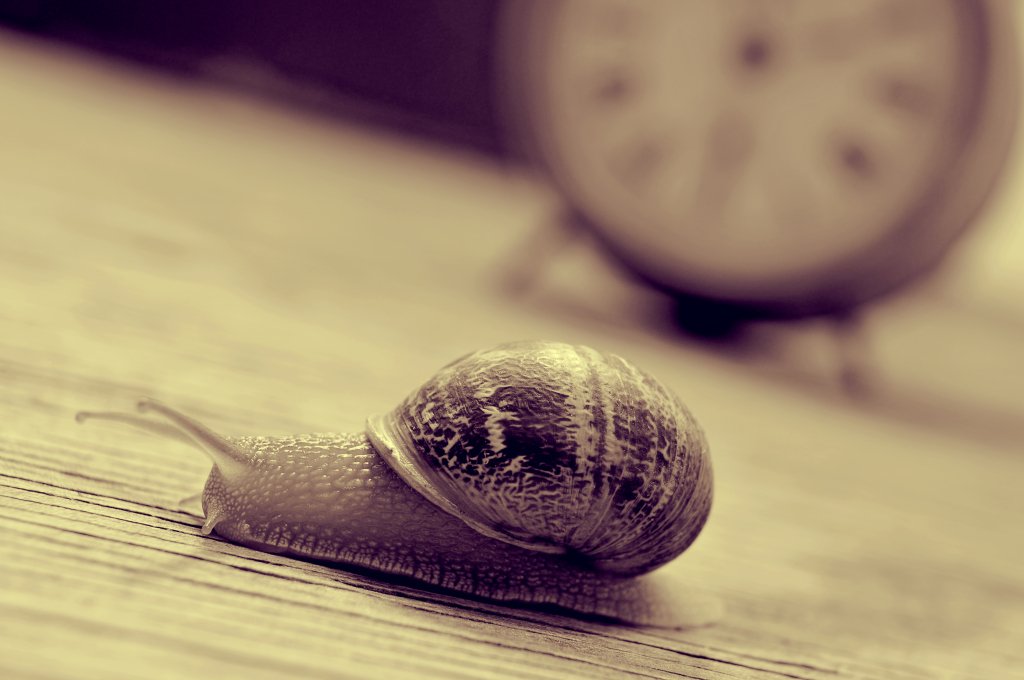 a land snail and an old desktop clock on a wooden table, in sepia tone